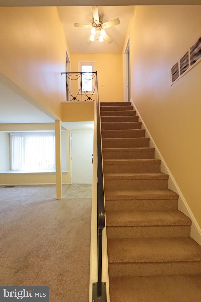 stairs with ceiling fan and carpet