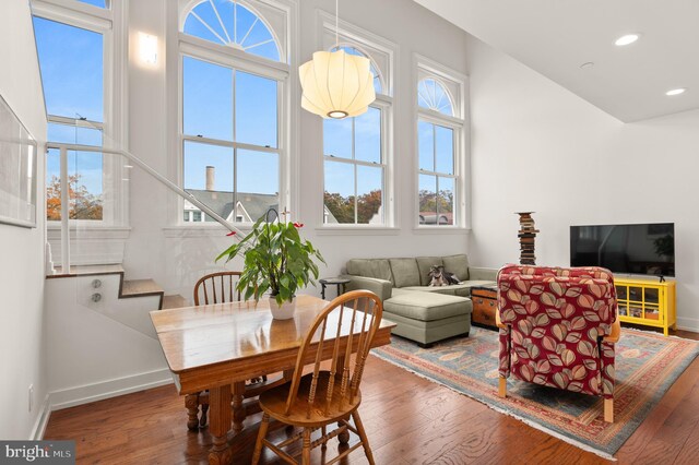 dining room with hardwood / wood-style floors