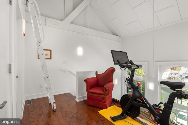 workout room featuring high vaulted ceiling and dark hardwood / wood-style flooring