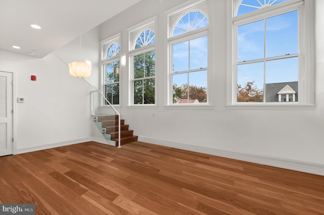 foyer entrance with wood-type flooring and a healthy amount of sunlight