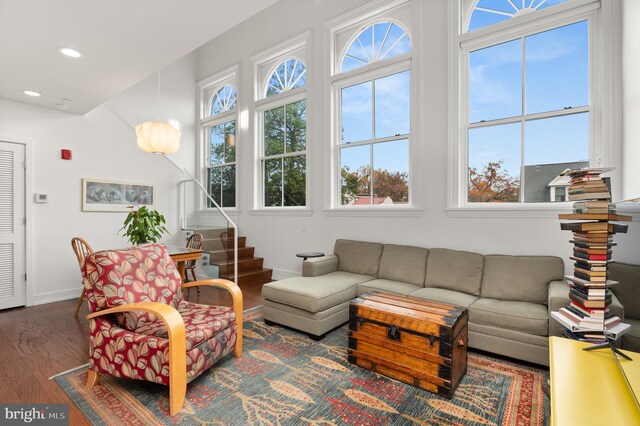 living room with dark hardwood / wood-style flooring