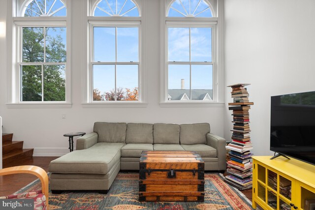 living room with plenty of natural light and dark hardwood / wood-style flooring