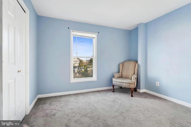 living area with carpet flooring