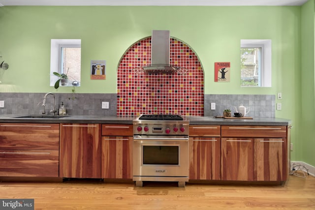 kitchen featuring sink, range hood, backsplash, designer range, and light wood-type flooring