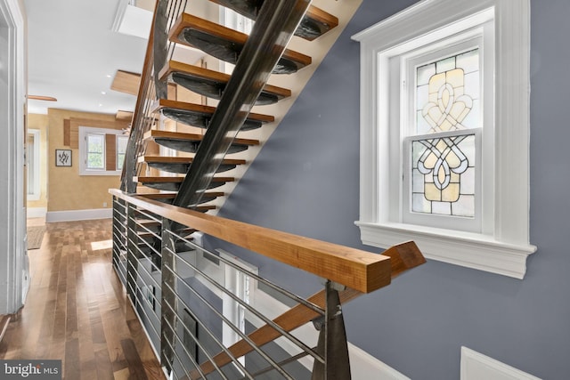 stairway featuring hardwood / wood-style floors