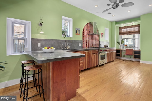 kitchen with a healthy amount of sunlight, premium stove, and sink