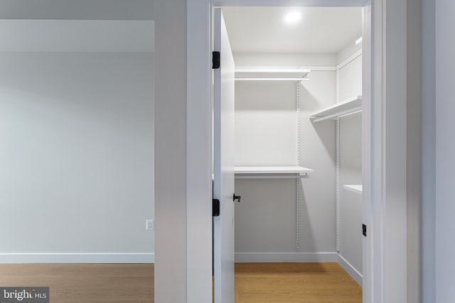 spacious closet featuring light hardwood / wood-style floors