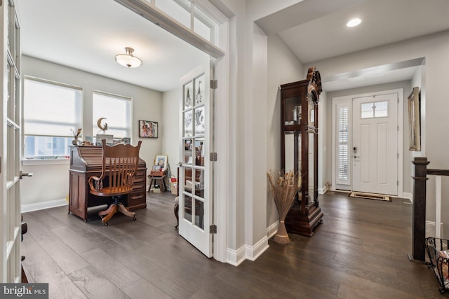 entrance foyer featuring dark wood-type flooring