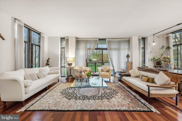 living room featuring floor to ceiling windows and wood-type flooring