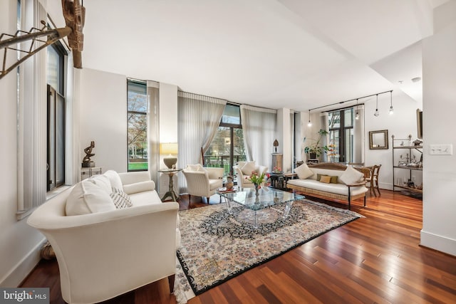 living room with hardwood / wood-style floors and expansive windows