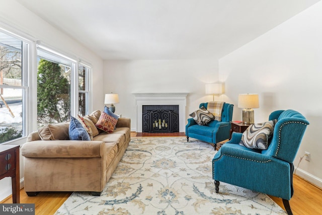 living room featuring hardwood / wood-style flooring