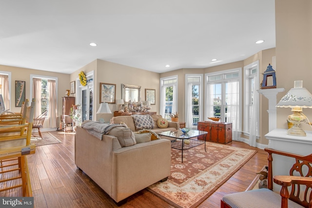 living room with plenty of natural light and hardwood / wood-style flooring