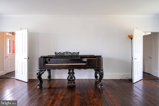 misc room featuring ornamental molding and dark wood-type flooring