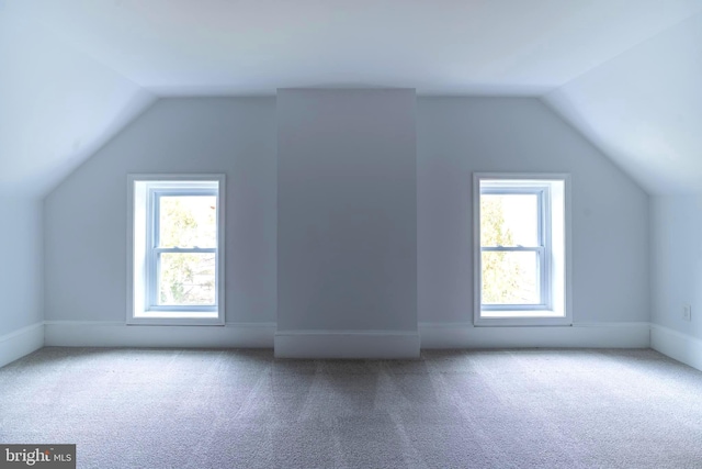 additional living space featuring carpet, plenty of natural light, and lofted ceiling