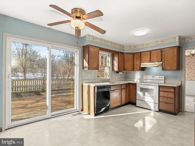 kitchen with sink, white electric range, black dishwasher, and ceiling fan