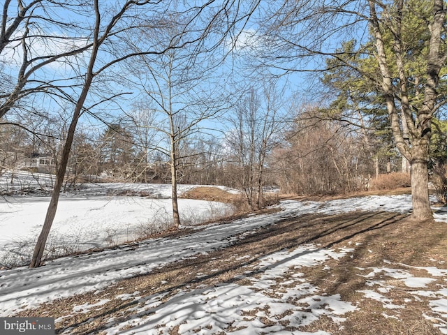 view of yard layered in snow