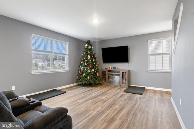 living room featuring light hardwood / wood-style floors