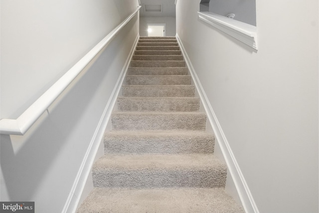 staircase featuring carpet flooring