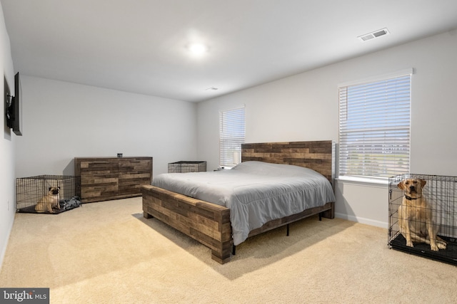 143 Knobby Hook, Hanover, PA 17331 - bedroom featuring carpet floors and baseboards