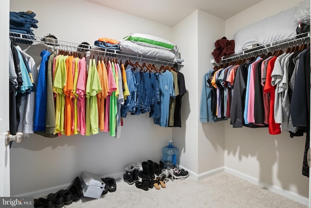 walk in closet with carpet