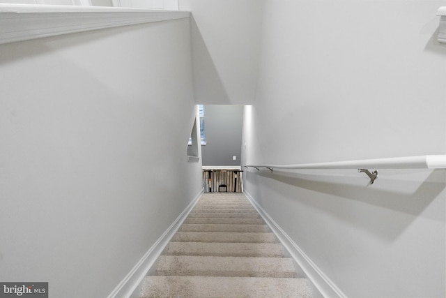 stairway featuring carpet floors