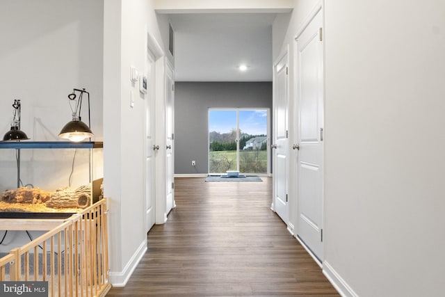 hall featuring dark hardwood / wood-style floors