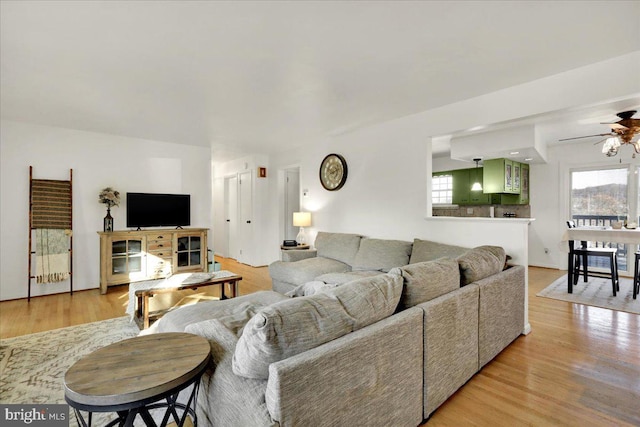 living room featuring ceiling fan and light hardwood / wood-style flooring