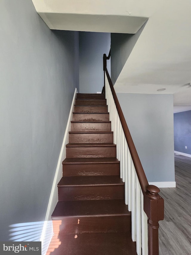 staircase featuring wood-type flooring