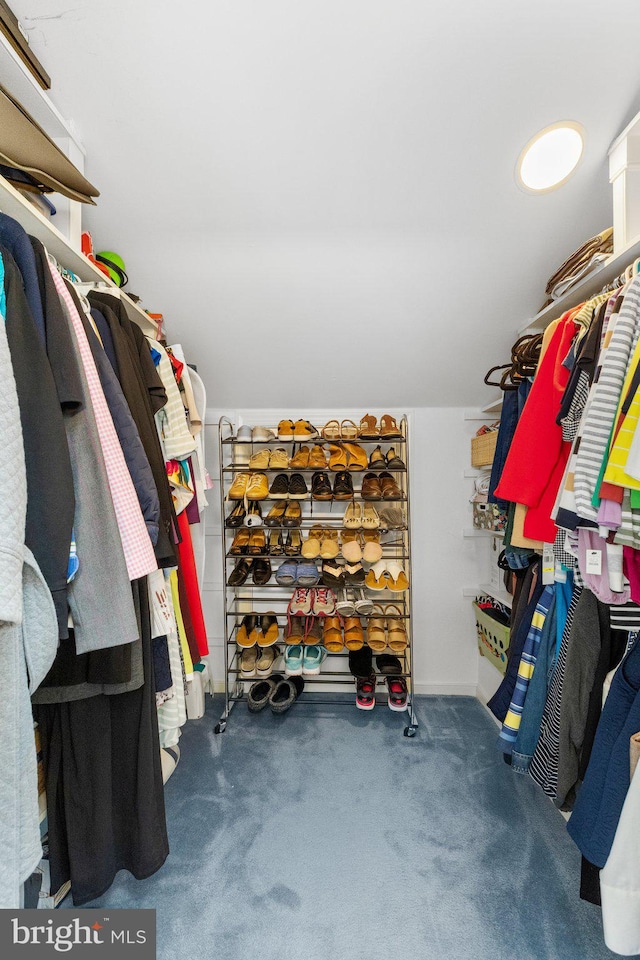 walk in closet with carpet floors