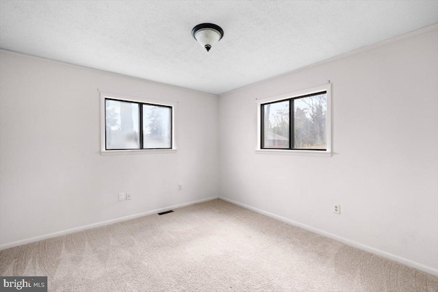 unfurnished room featuring carpet, plenty of natural light, and a textured ceiling