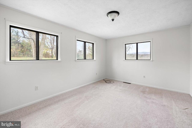 carpeted spare room featuring a textured ceiling and a wealth of natural light