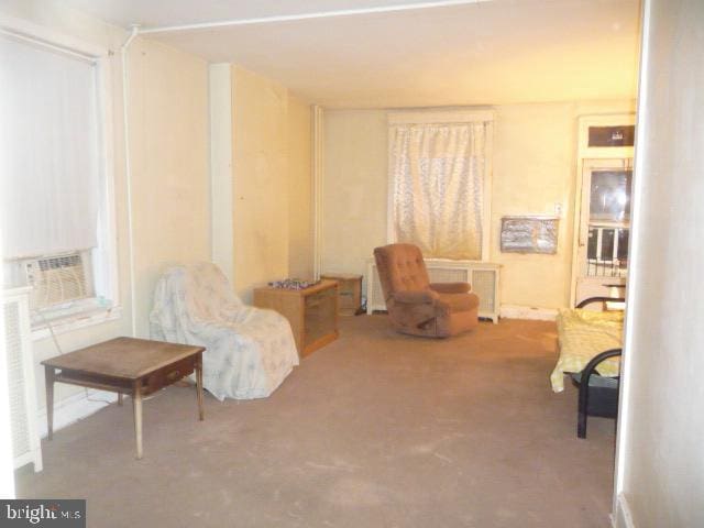 living area with radiator heating unit