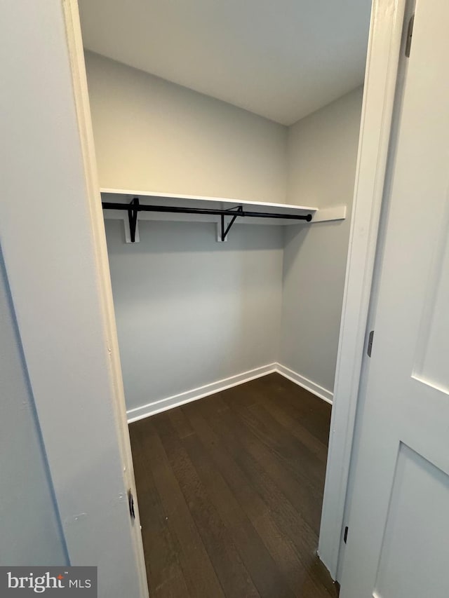 walk in closet featuring dark wood-type flooring