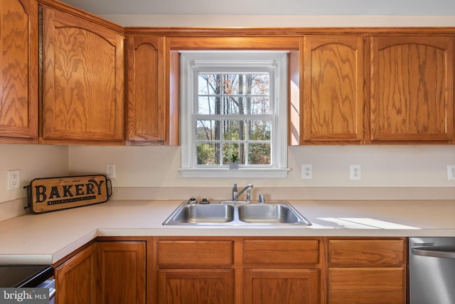 kitchen featuring sink and stainless steel dishwasher