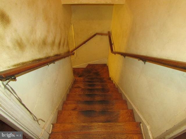 stairs with wood-type flooring