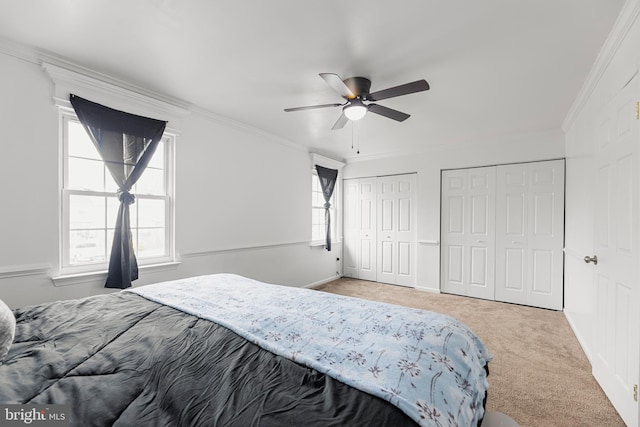 carpeted bedroom with multiple closets, ceiling fan, and ornamental molding