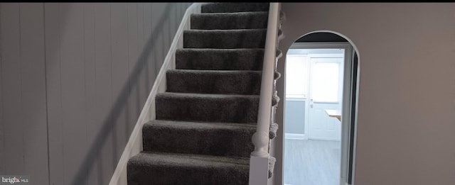 staircase featuring wooden walls