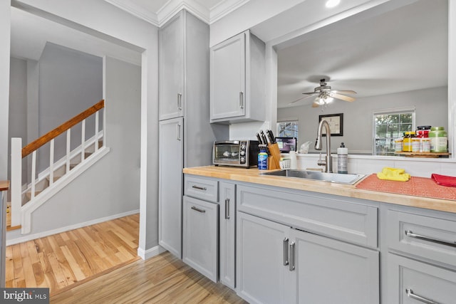 kitchen featuring light hardwood / wood-style flooring, ceiling fan, ornamental molding, and sink