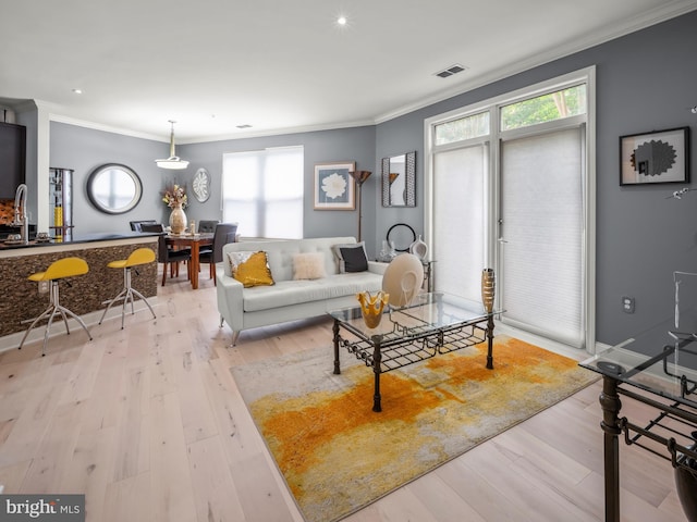 living room featuring sink, light wood-type flooring, and crown molding