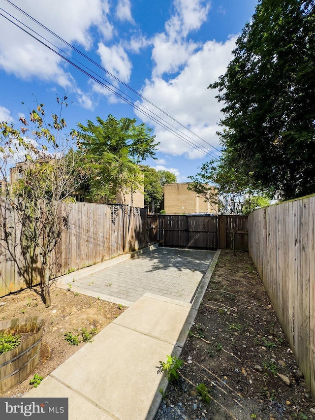 view of yard featuring a patio