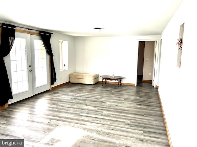 interior space featuring french doors and hardwood / wood-style flooring