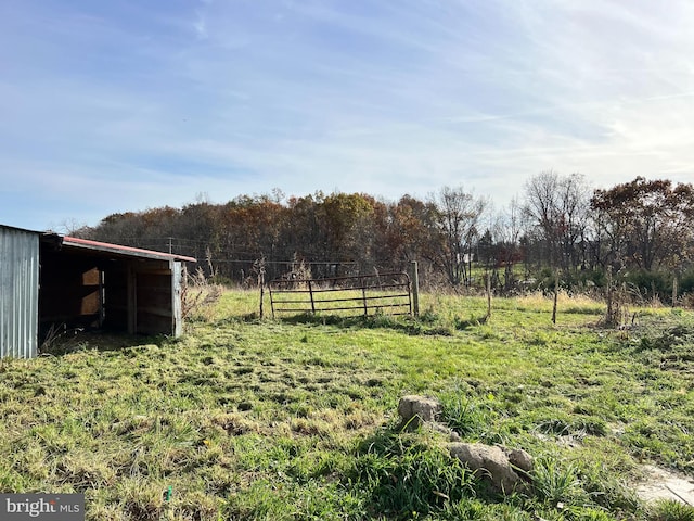 view of yard featuring a rural view