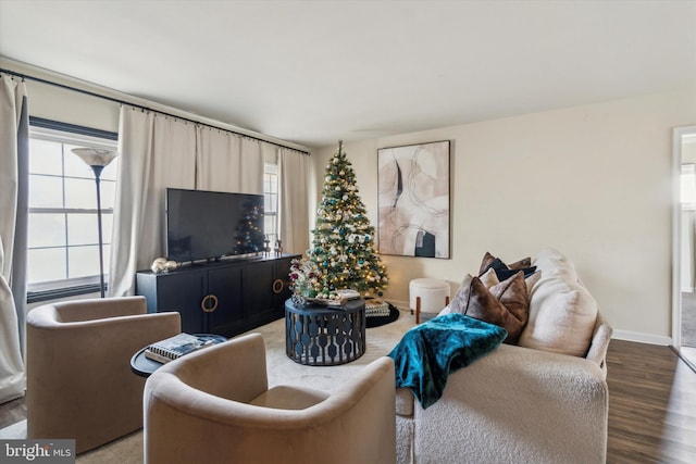 living room featuring hardwood / wood-style flooring