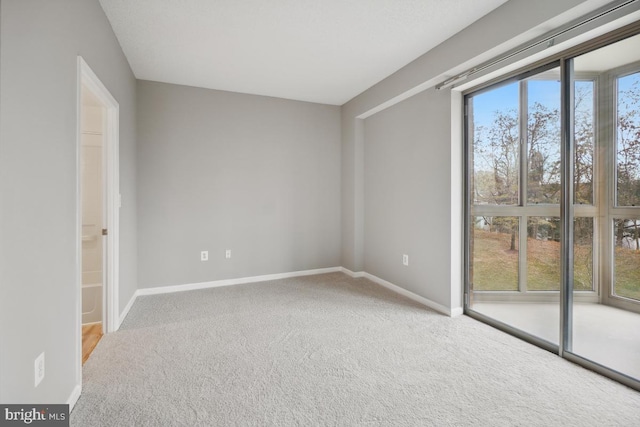 unfurnished room with carpet flooring