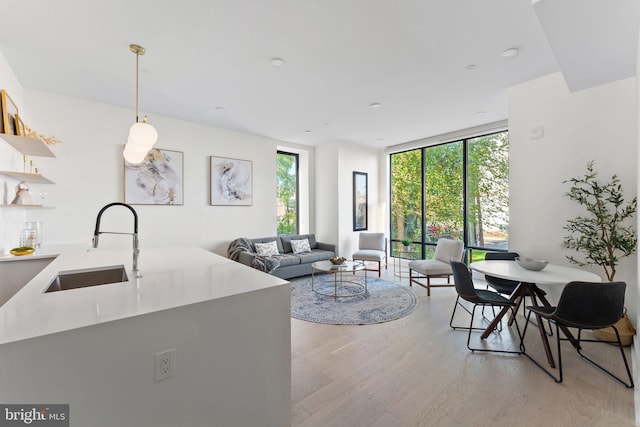 living room with sink, expansive windows, and light hardwood / wood-style floors