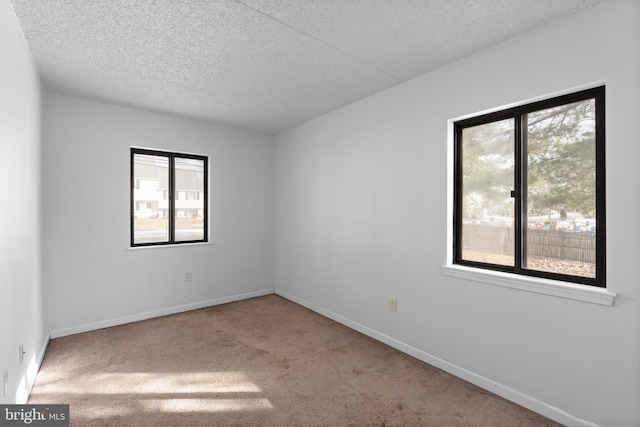 spare room featuring carpet floors, a healthy amount of sunlight, and a textured ceiling