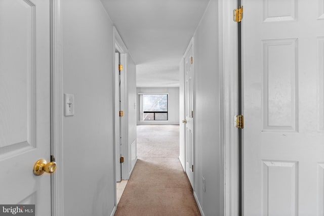 corridor featuring light colored carpet