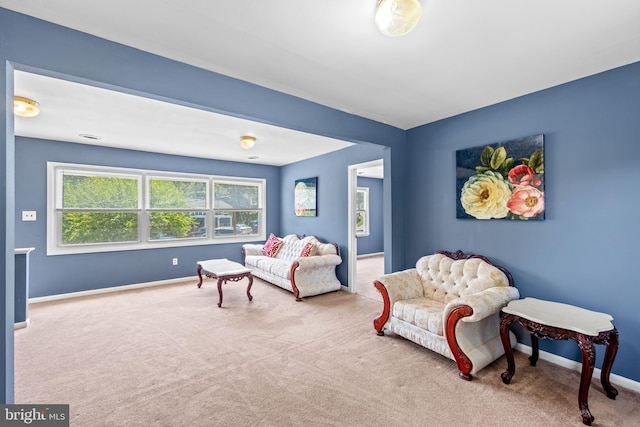 sitting room with carpet