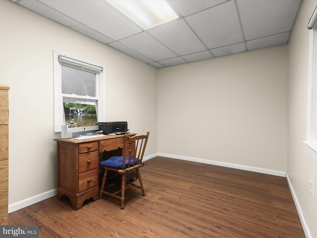 home office featuring a paneled ceiling and dark wood-type flooring