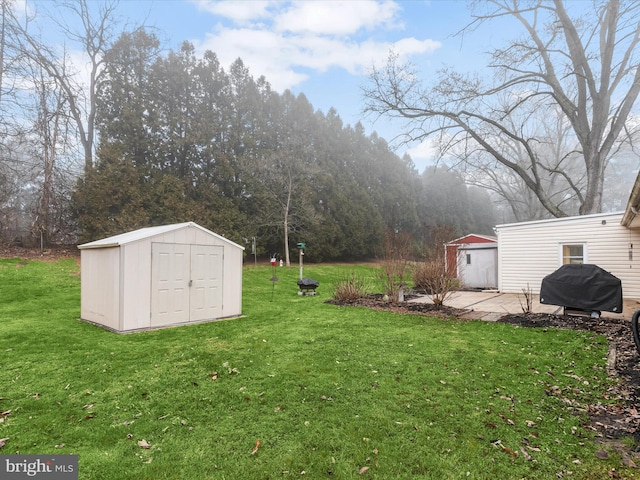 view of yard featuring a patio area and a shed